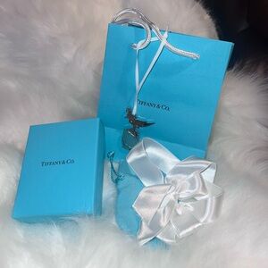 Tiffany charm, jewelry pouch, box & bag